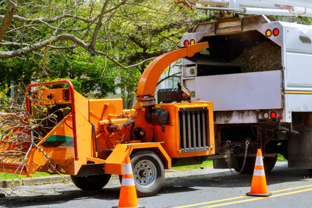 Best Aeration Services  in Dale, IN