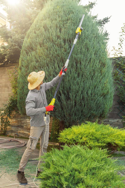 Best Tree Health Inspection  in Dale, IN